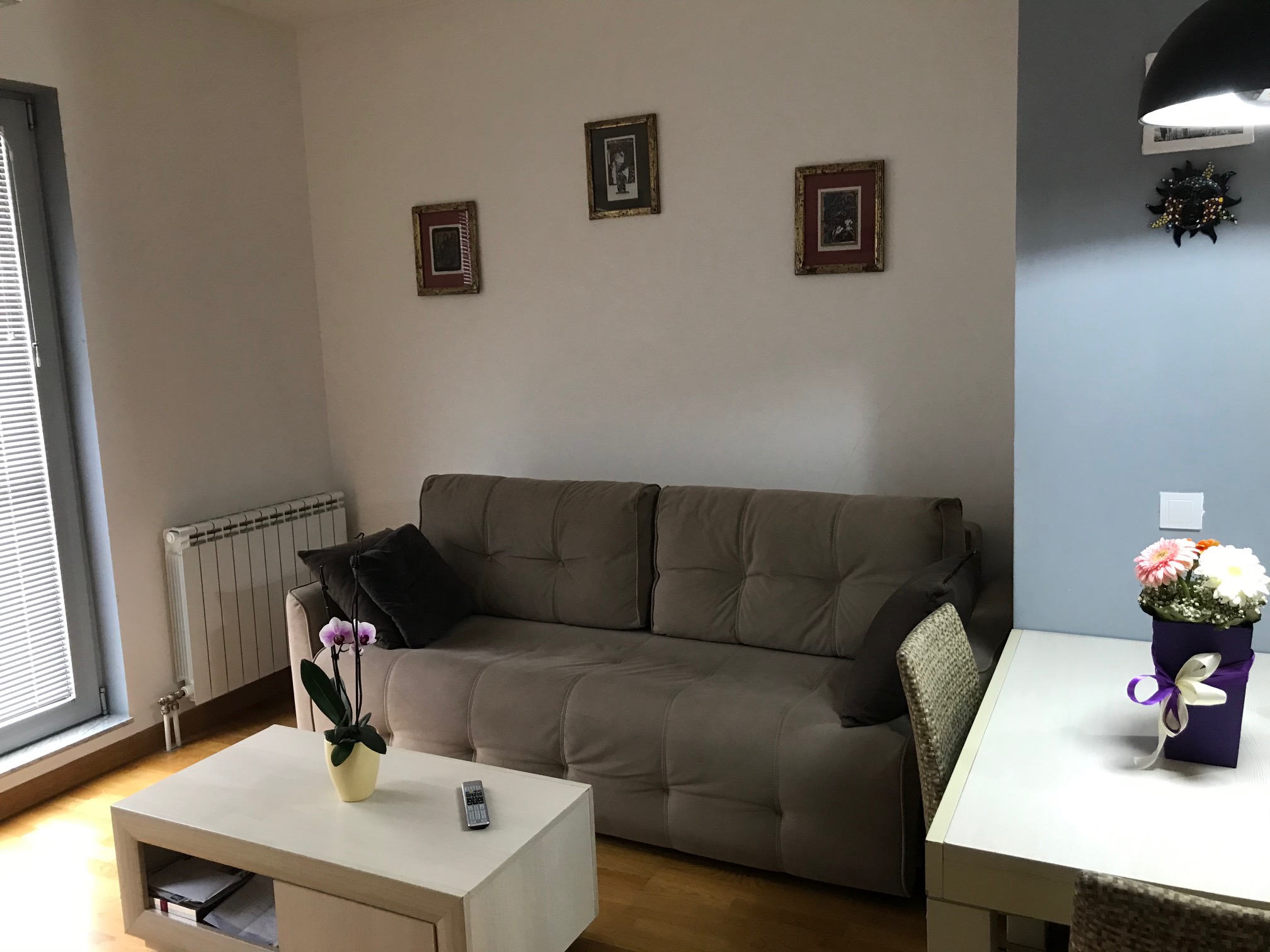 Izdajem namešten stan u zgradi TQ u Inđiji 1