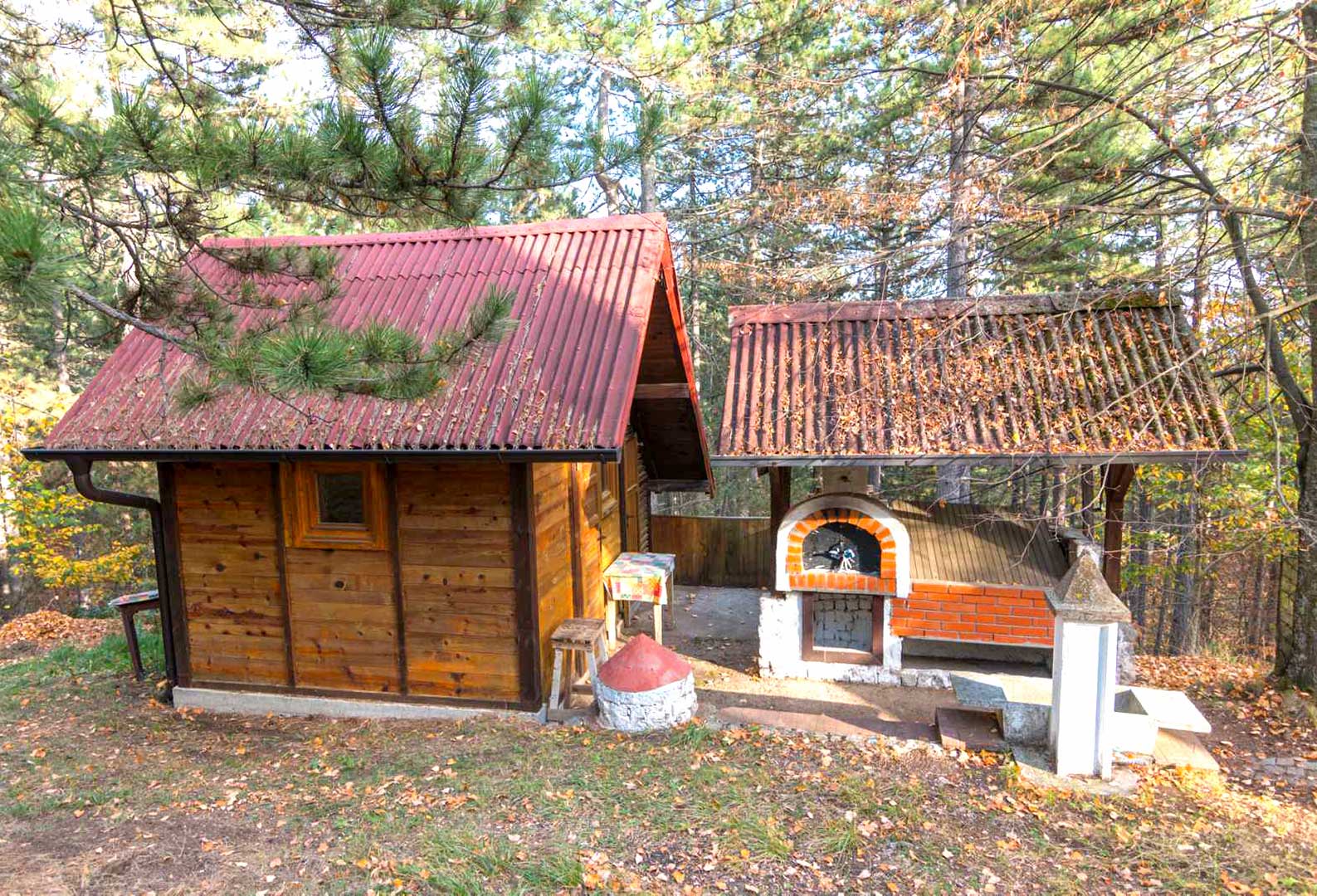 Vikendica na Tari sa 50 ari placa   mir  privatnost i investicioni potencijal 5