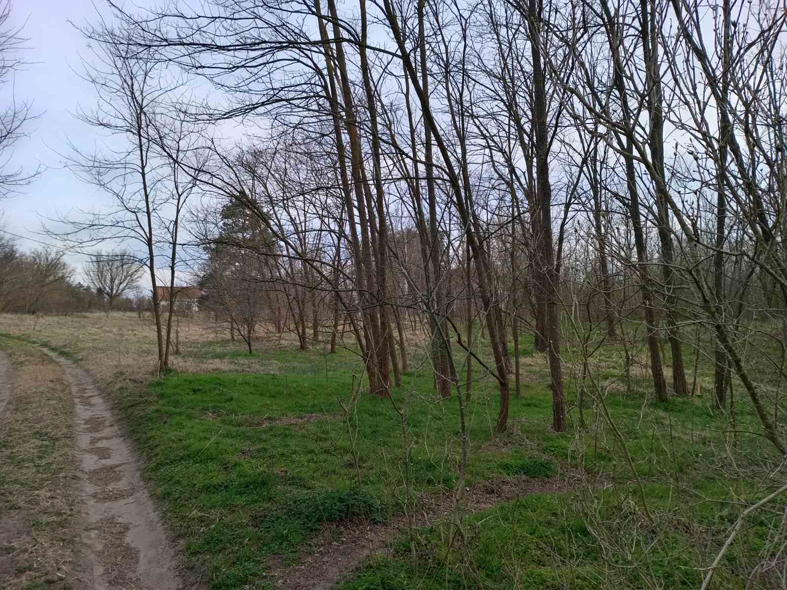 Plac na prodaju Bela Crkva Kajtasovo 2