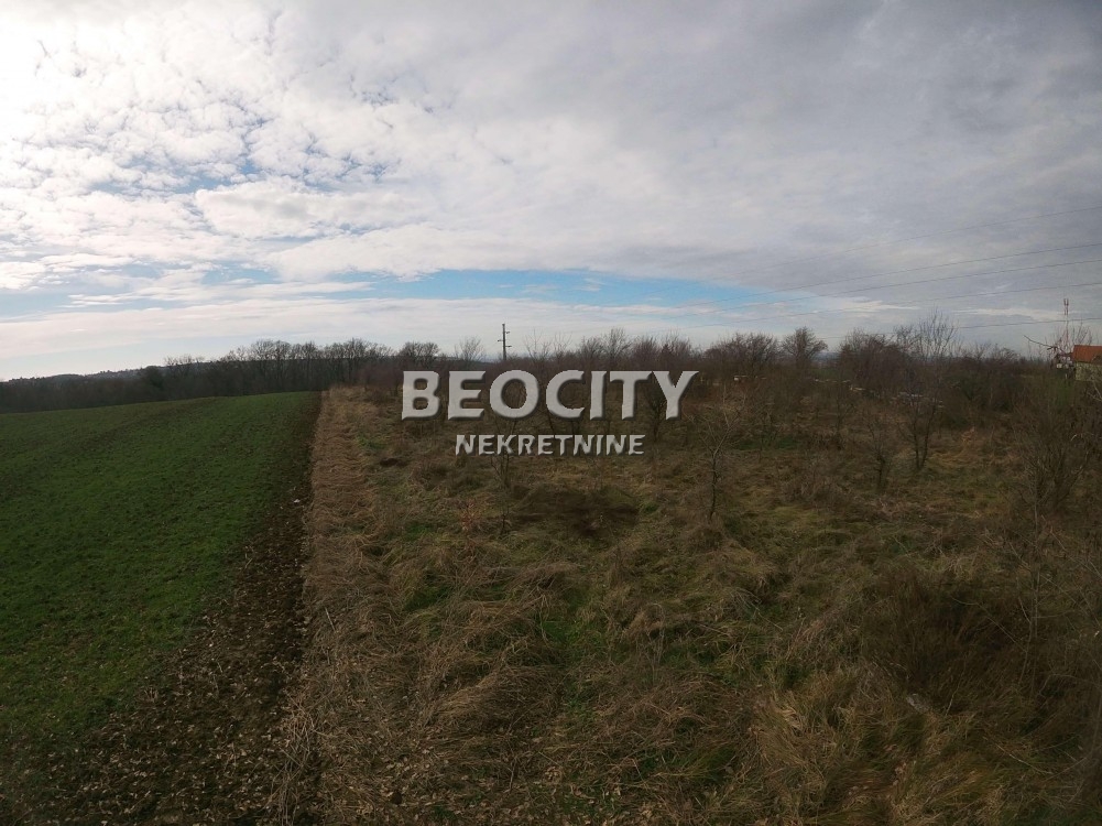 Plac, Umka, Rucka ID: 94040 5