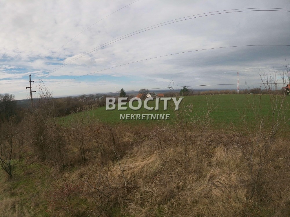 Plac, Umka, Rucka ID: 94040 7