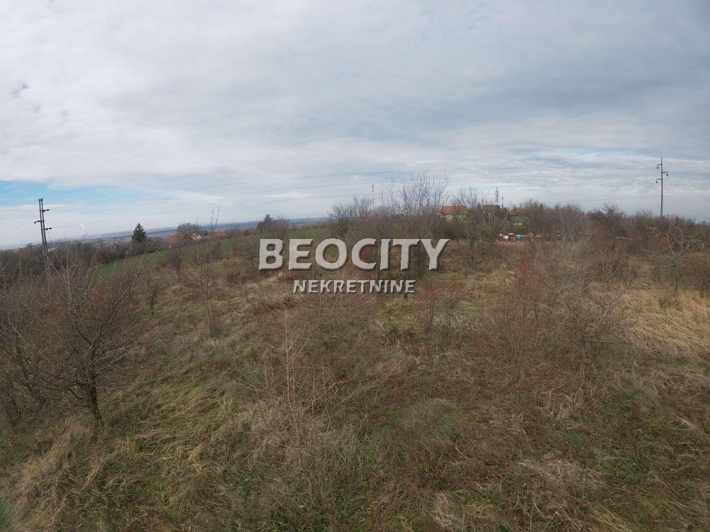 Plac, Umka, Rucka ID: 94040 3