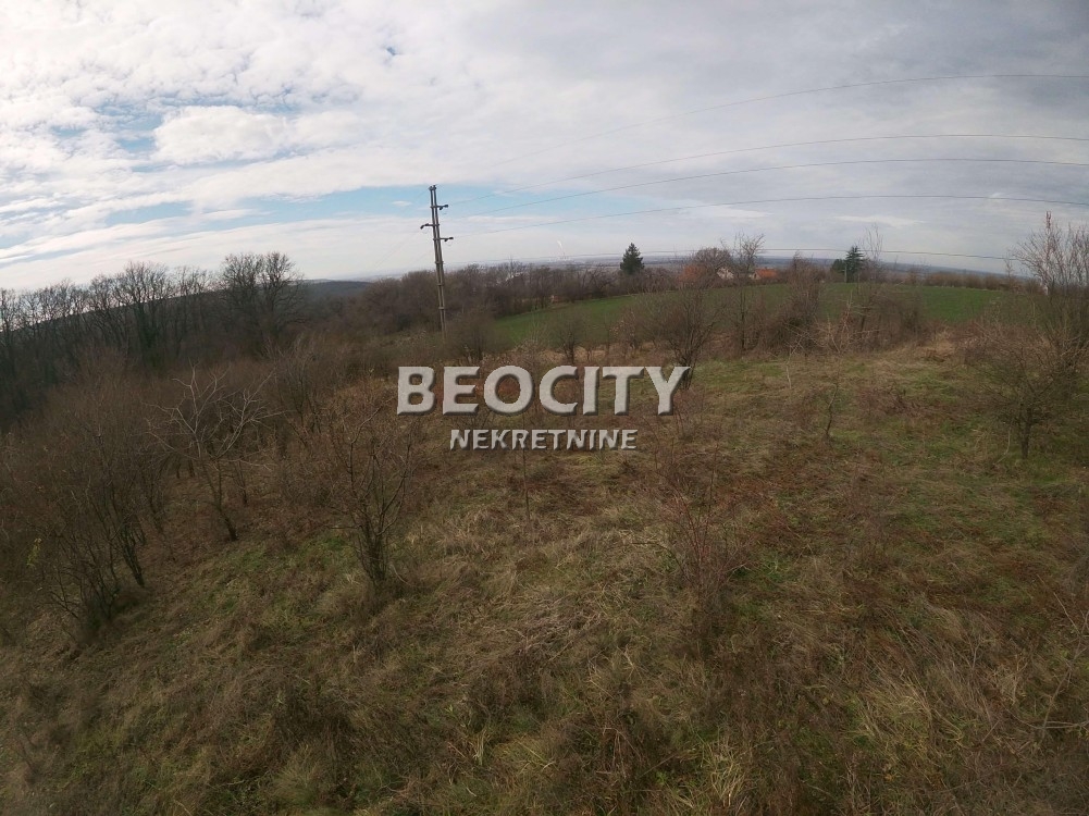 Plac, Umka, Rucka ID: 94040 4