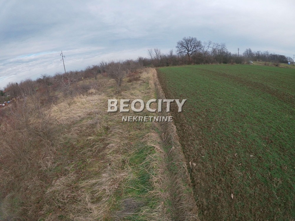 Plac, Umka, Rucka ID: 94040 8