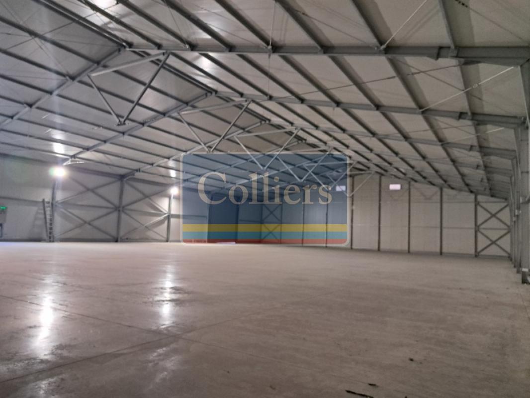Zemun, Altina, Batajnicki drum, Hala, 1000.00m2, 8 EUR 4