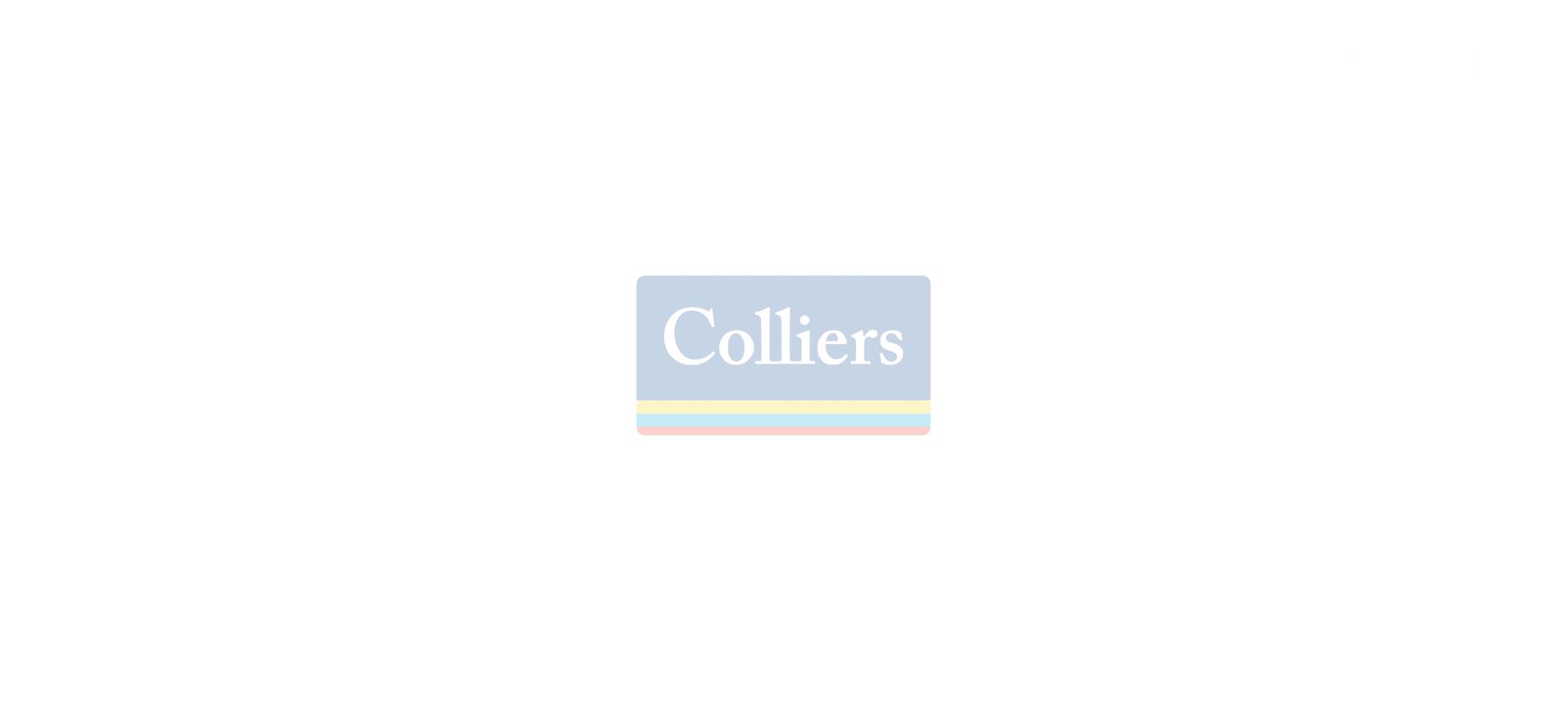 Zemun, Altina, Batajnicki drum, Hala, 1000.00m2, 8 EUR 2