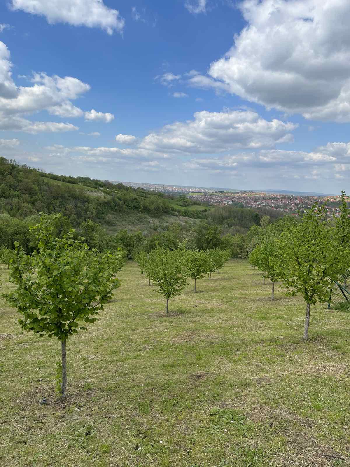 Prodajem plac 6km od centra Kragujevca 2