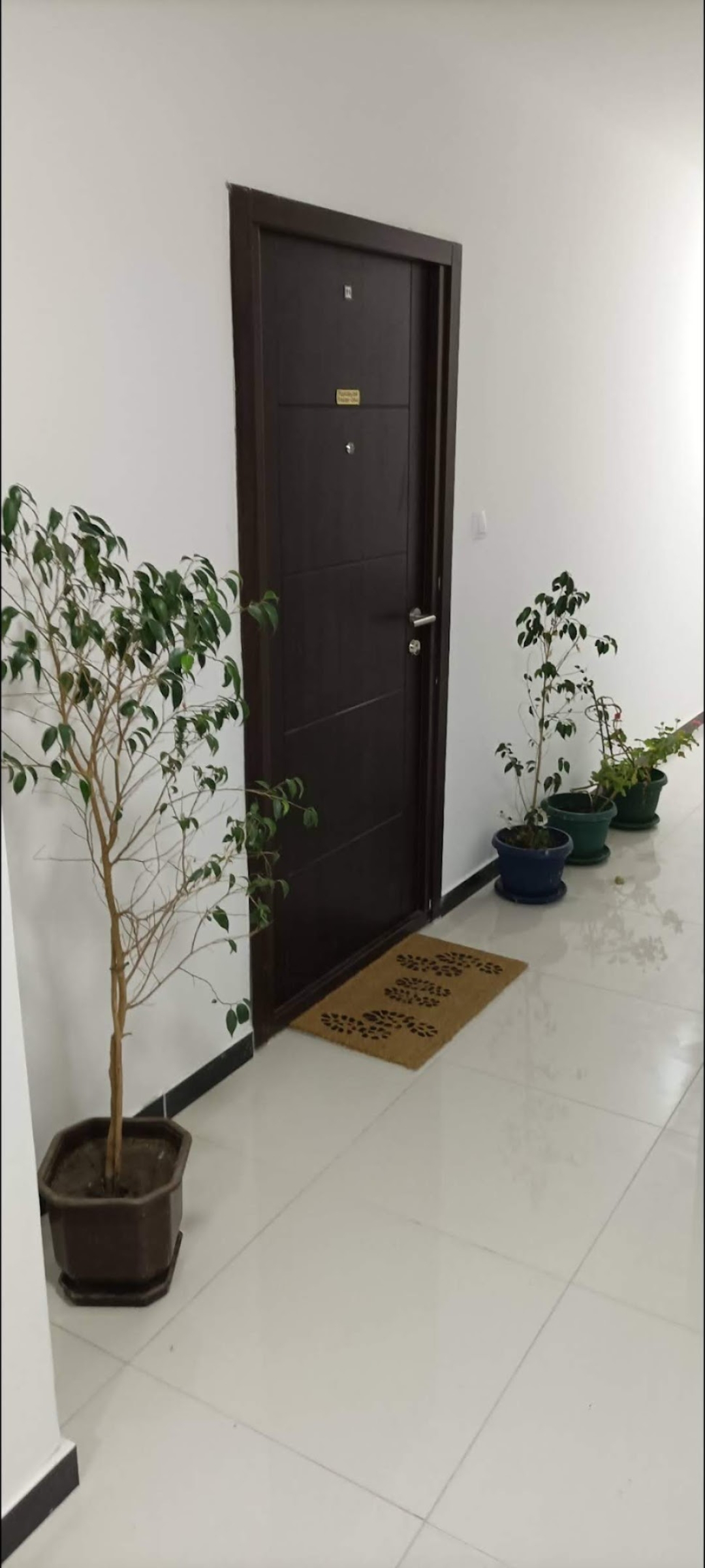 Stan na prodaji u Borci 4