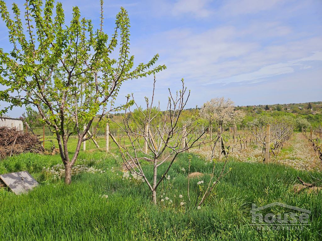 Kuca,BANSTOL,BANSTOL120m2,113300€ , ID: 3046100 7