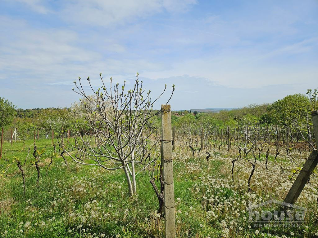 Kuca,BANSTOL,BANSTOL120m2,113300€ , ID: 3046100 6