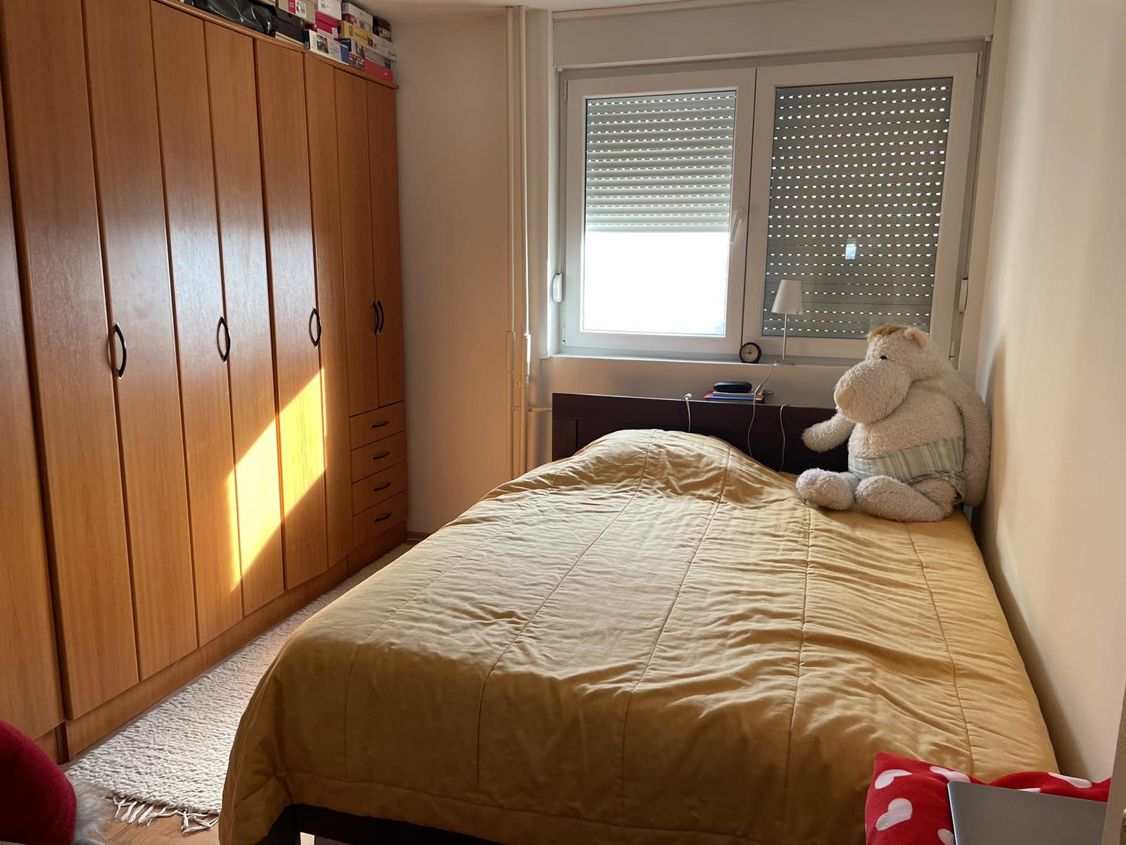 Prodajem stan u Subotici 5