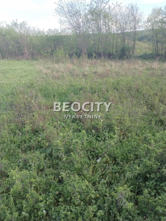 Plac, Sremčica, Davidovićev Sokak ID: 108783 3