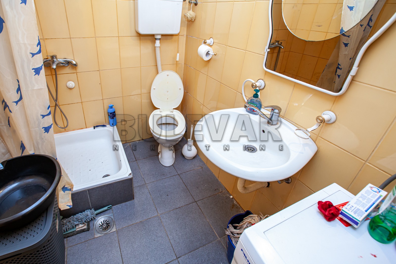 Jednosoban stan, 24 m2, Palilula, Stanoja Bunuševca ID: p-07822 9