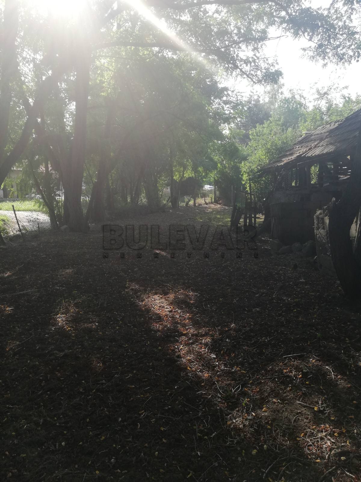 četvorosobna kuća, 126 m2, Grejač, Vuka Karadžića ID: p-03788 28