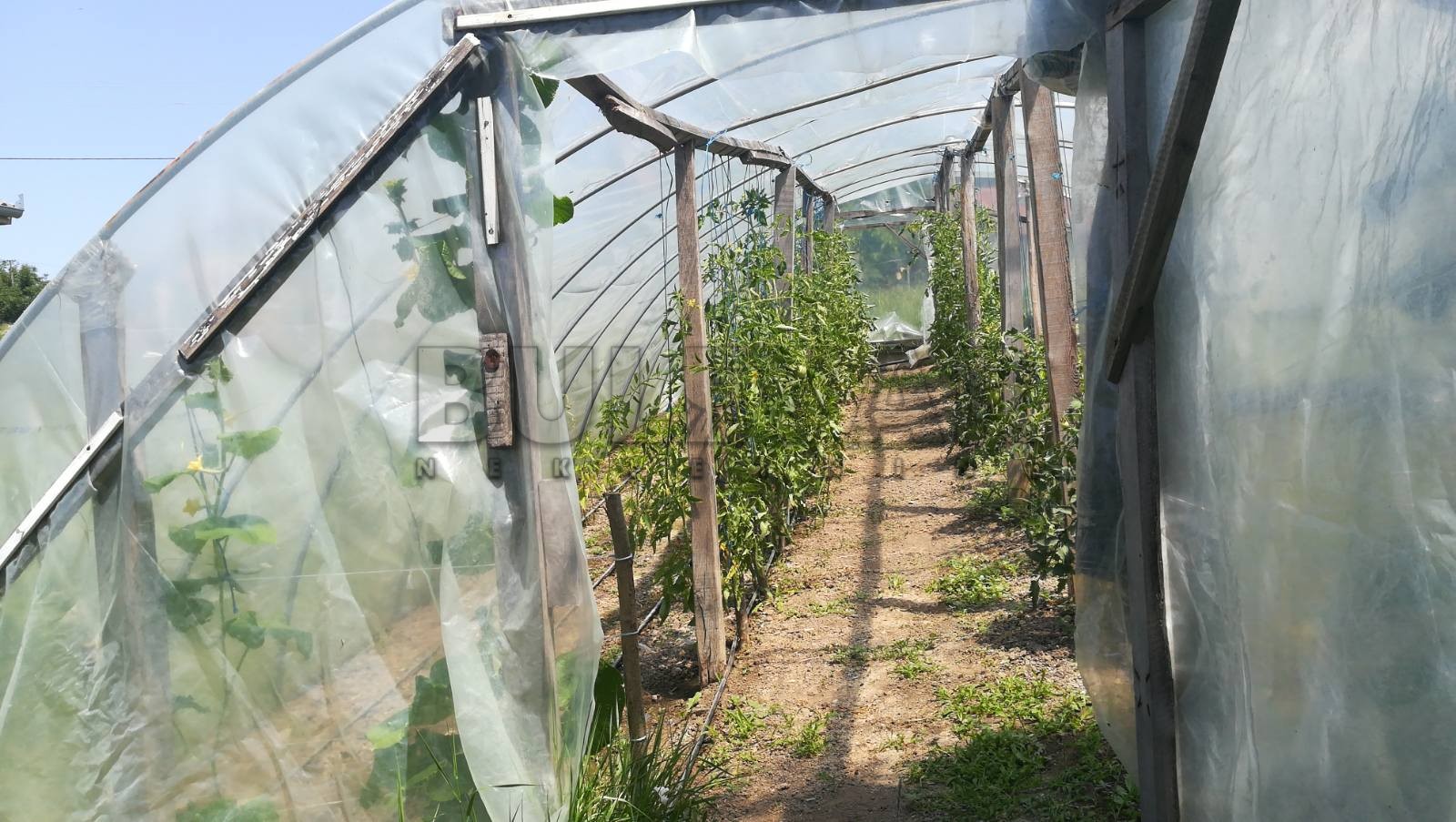 četvorosobna kuća, 140 m2, Stanci, Stanci ID: p-011143 10