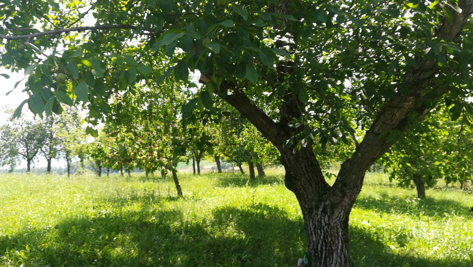 četvorosobna kuća, 140 m2, Stanci, Stanci ID: p-011143 8