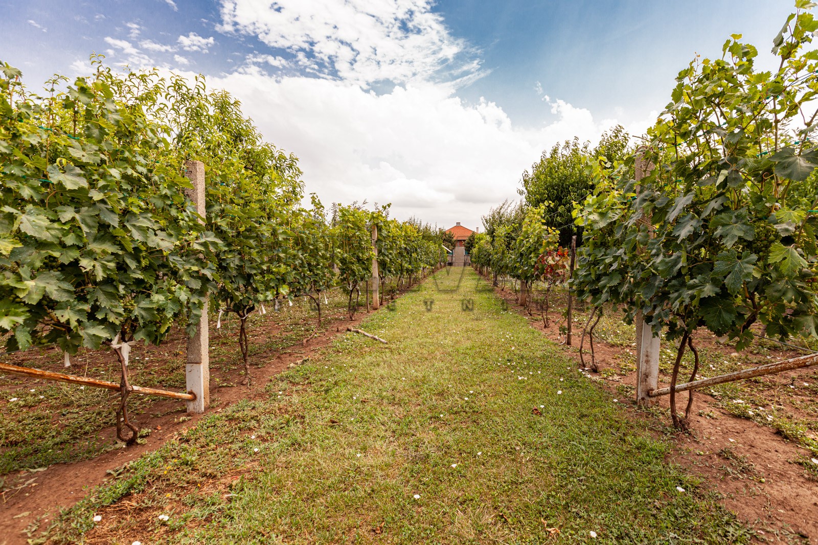 četvorosobna kuća, 146 m2, Mramorsko Brdo ID: p-03786 9