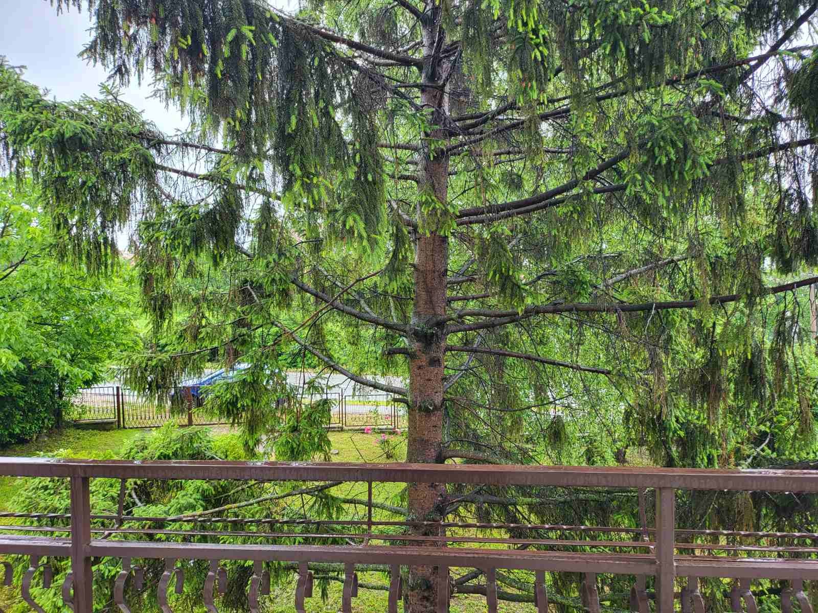 četvorosobna kuća, 167 m2, Aerodrom, Nikole Savalijeva ID: p-08858 12