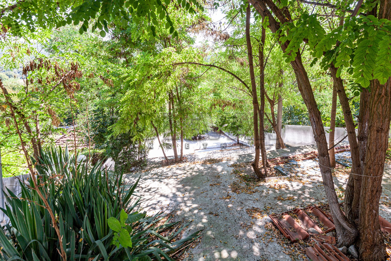 četvorosobna kuća, 170 m2, Crveni krst, Berčinac ID: p-03891 4