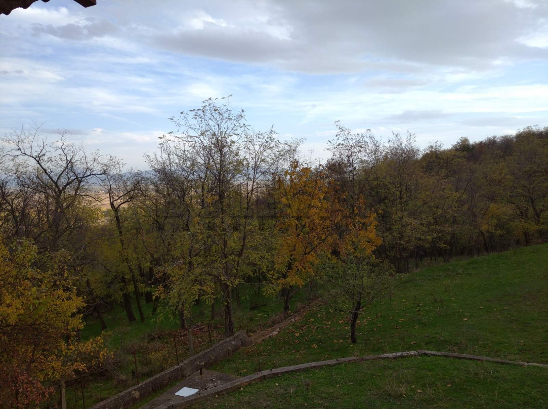 četvorosobna kuća, 176 m2, Supovac, Supovac ID: p-07689 3