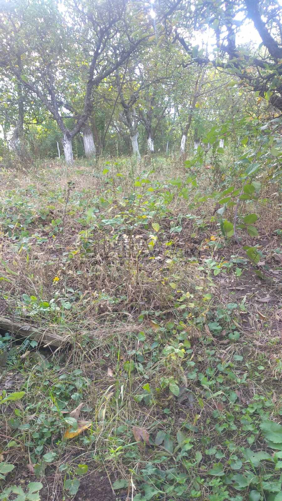 četvorosobna kuća, 183 m2, Ćele kula, Gabrovački put 2. prilaz ID: p-01725 4