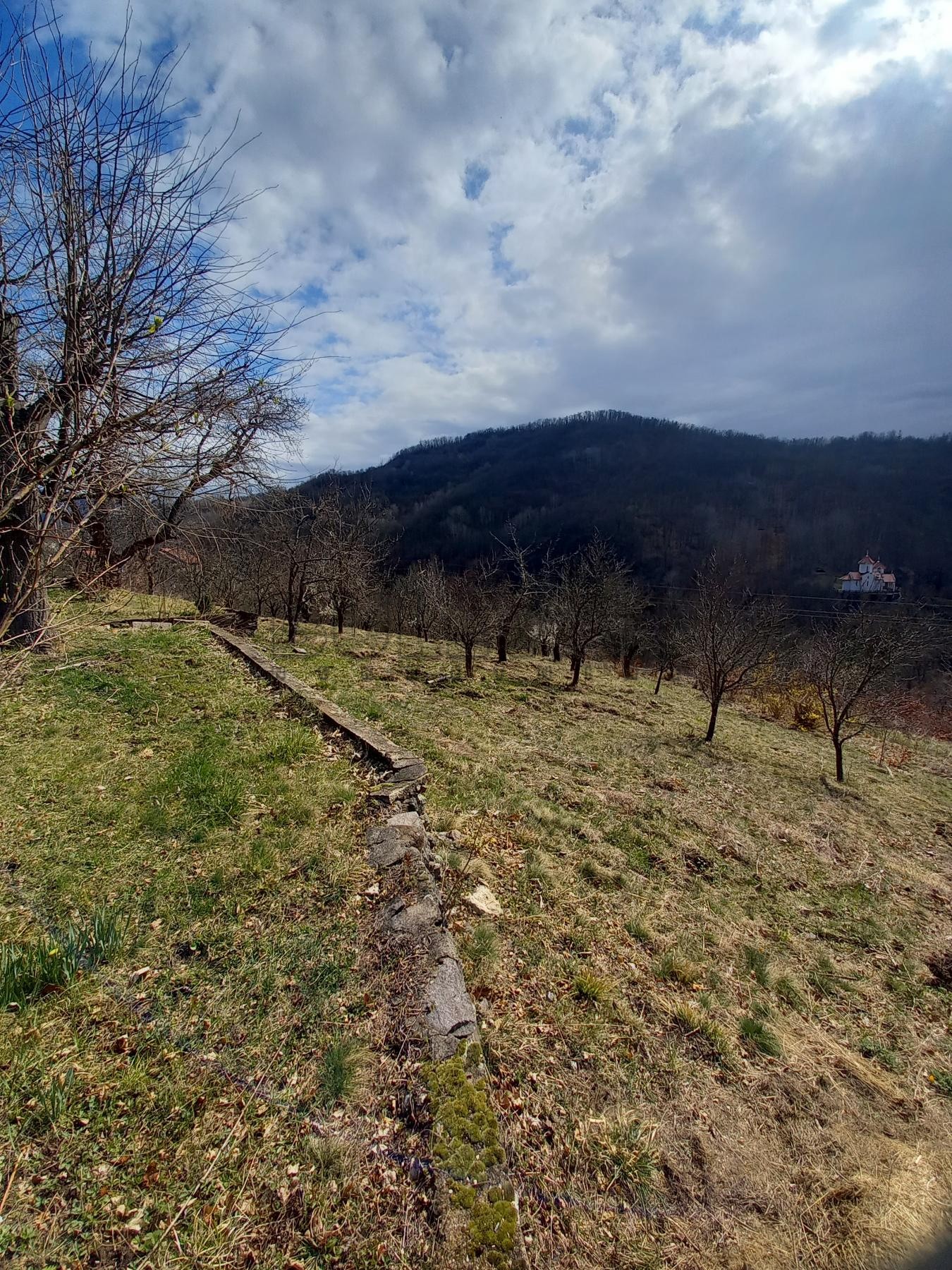 četvorosobna kuća, 200 m2, Prolom Banja ID: p-011048 6