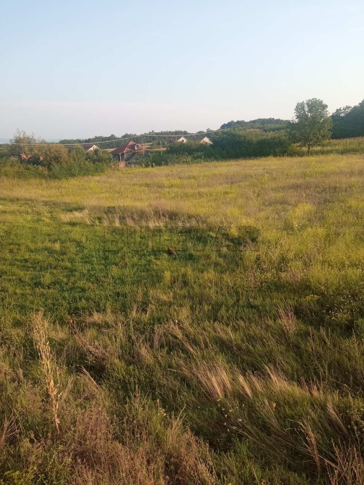 četvorosobna kuća, 240 m2, Gornja mala, Vikendaška ID: p-09545 12