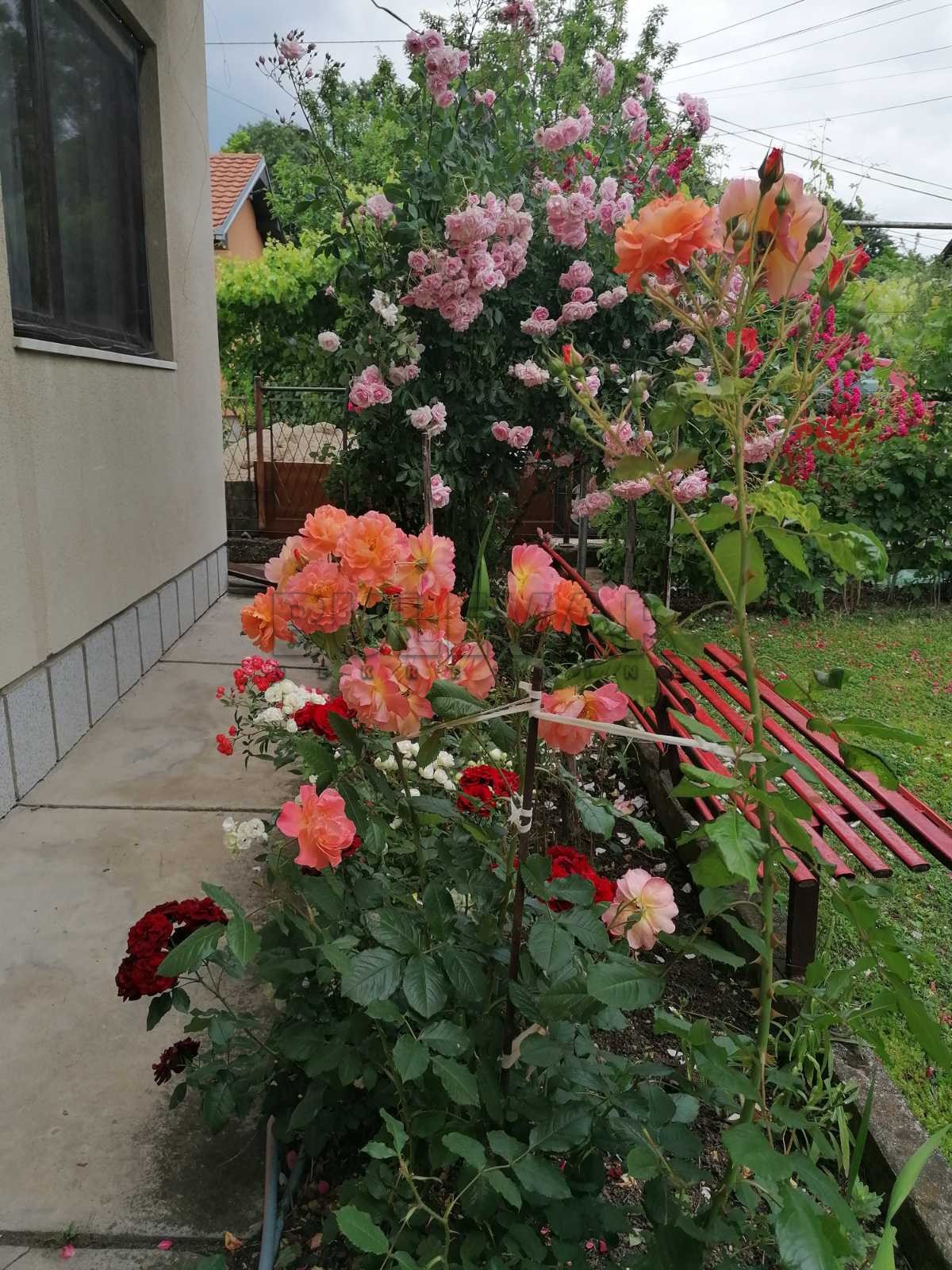 četvorosobna kuća, 240 m2, Kragujevac, Rifata Burdževića ID: p-06779 12