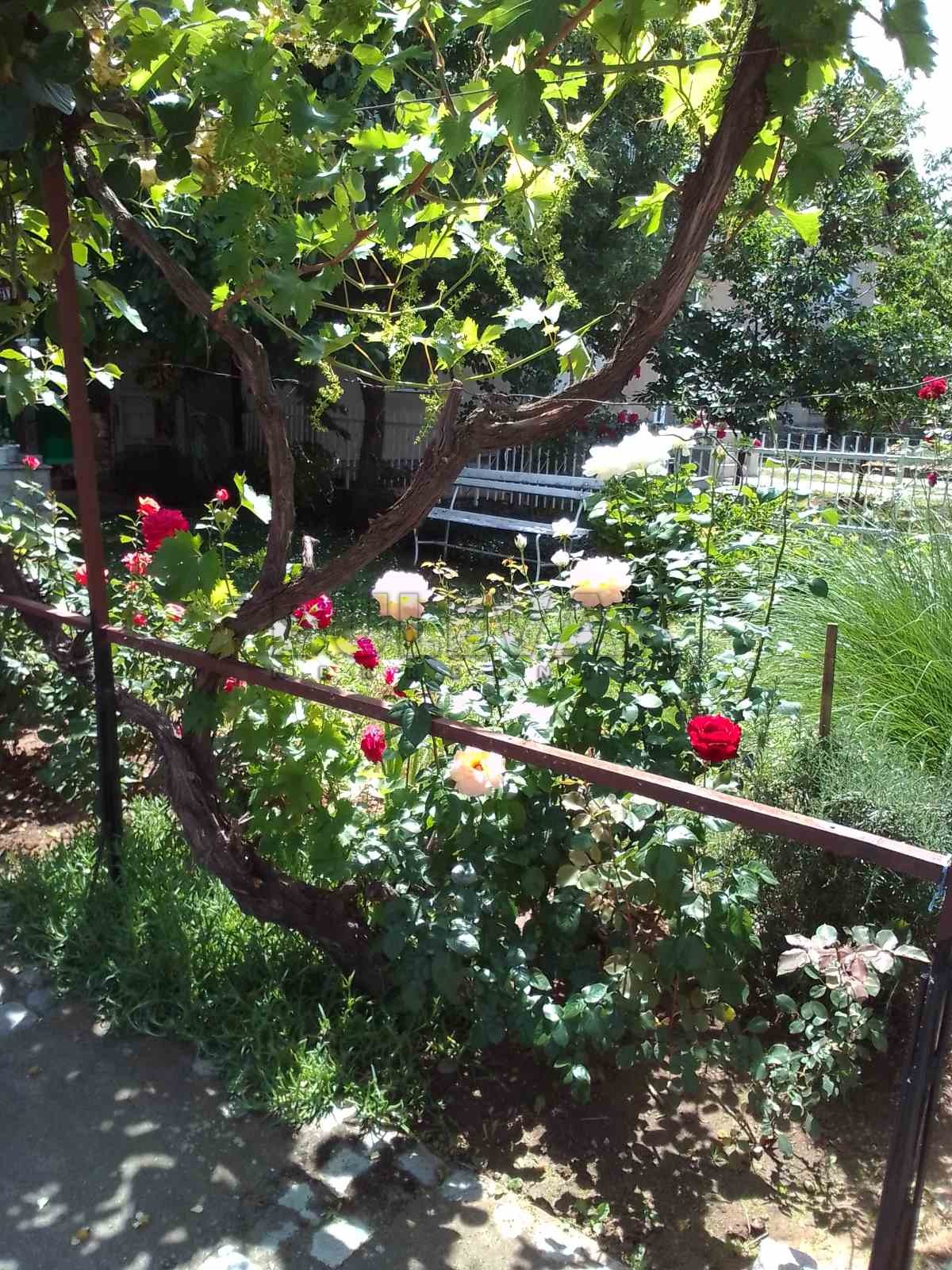 četvorosobna kuća, 248 m2, Niška Banja, Bulevar svetog cara ID: p-06630 20