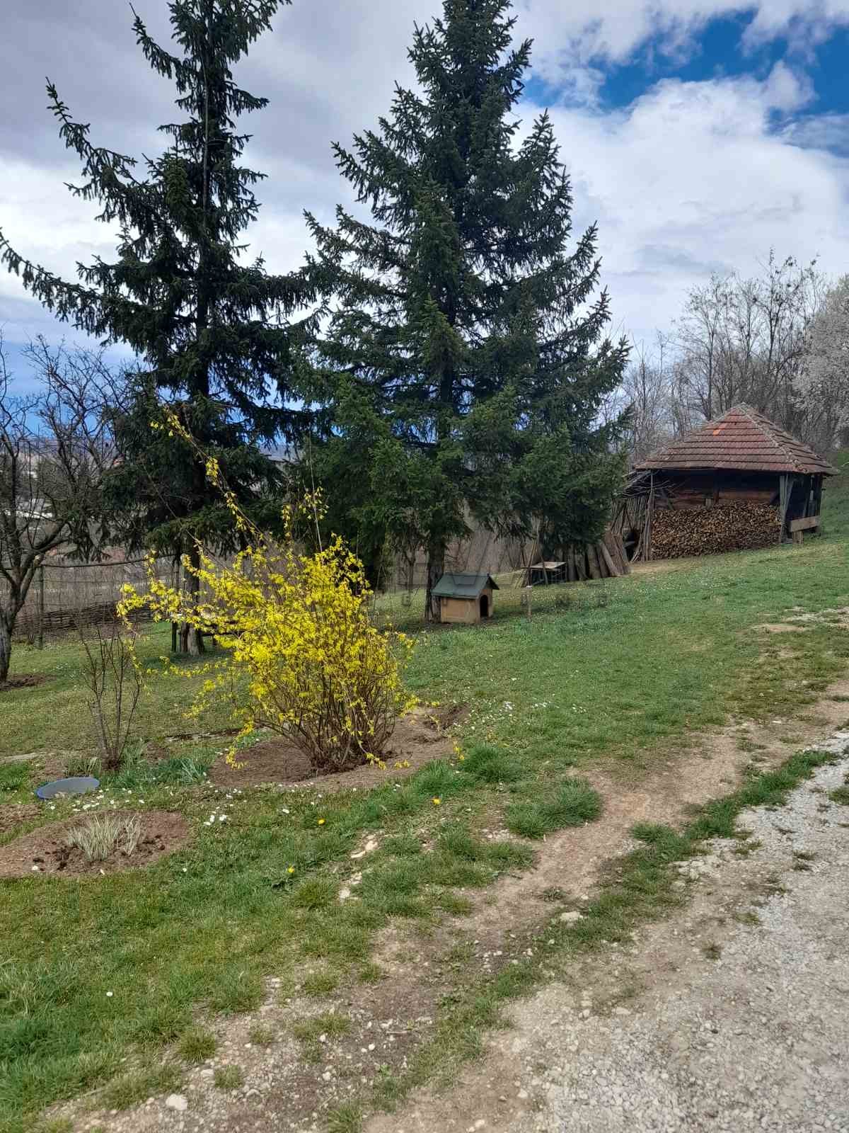 četvorosobna kuća, 250 m2, Knić, Knić ID: p-05491 9