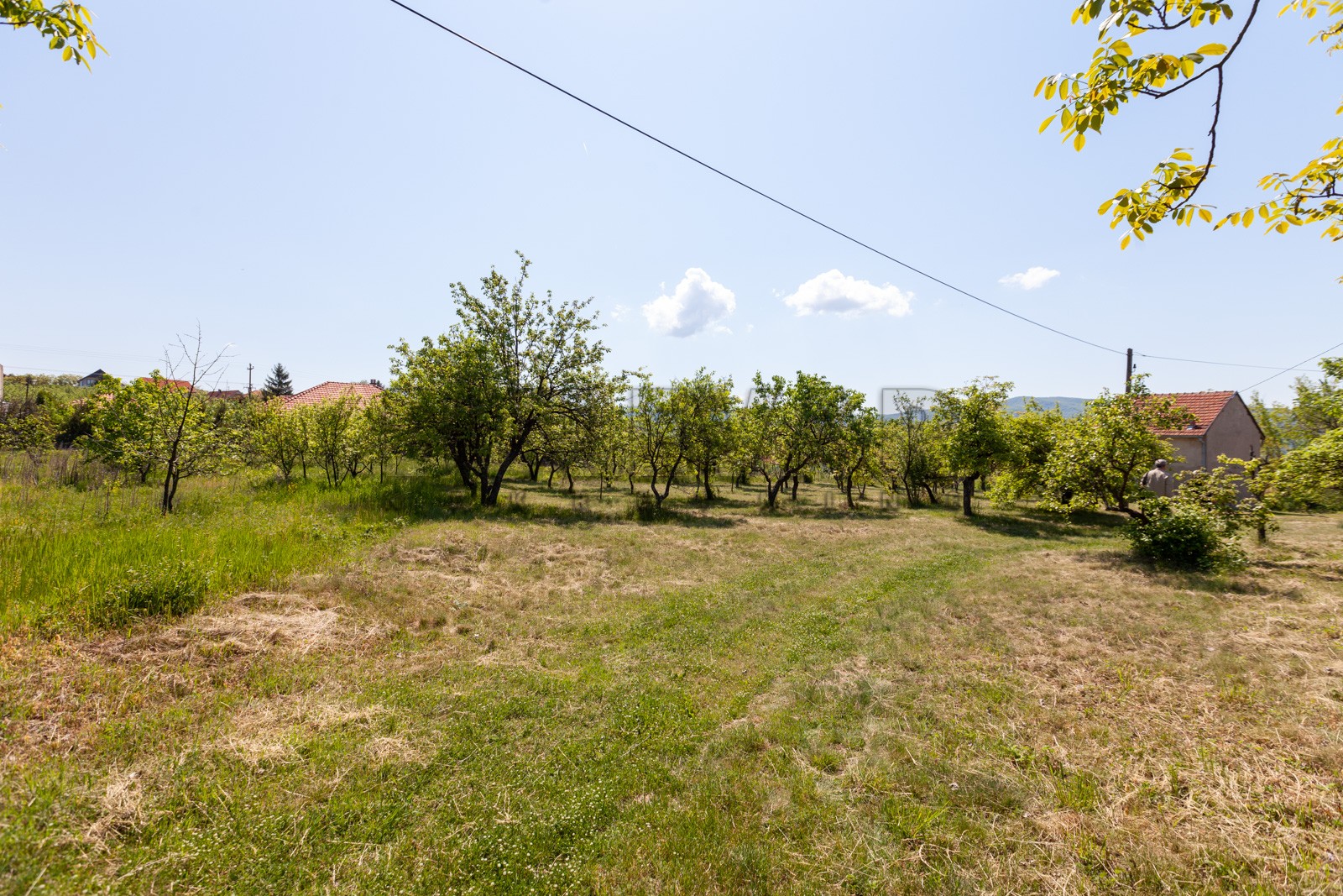 četvorosobna kuća, 250 m2, Palilula, Donje Vlase ID: p-05749 5