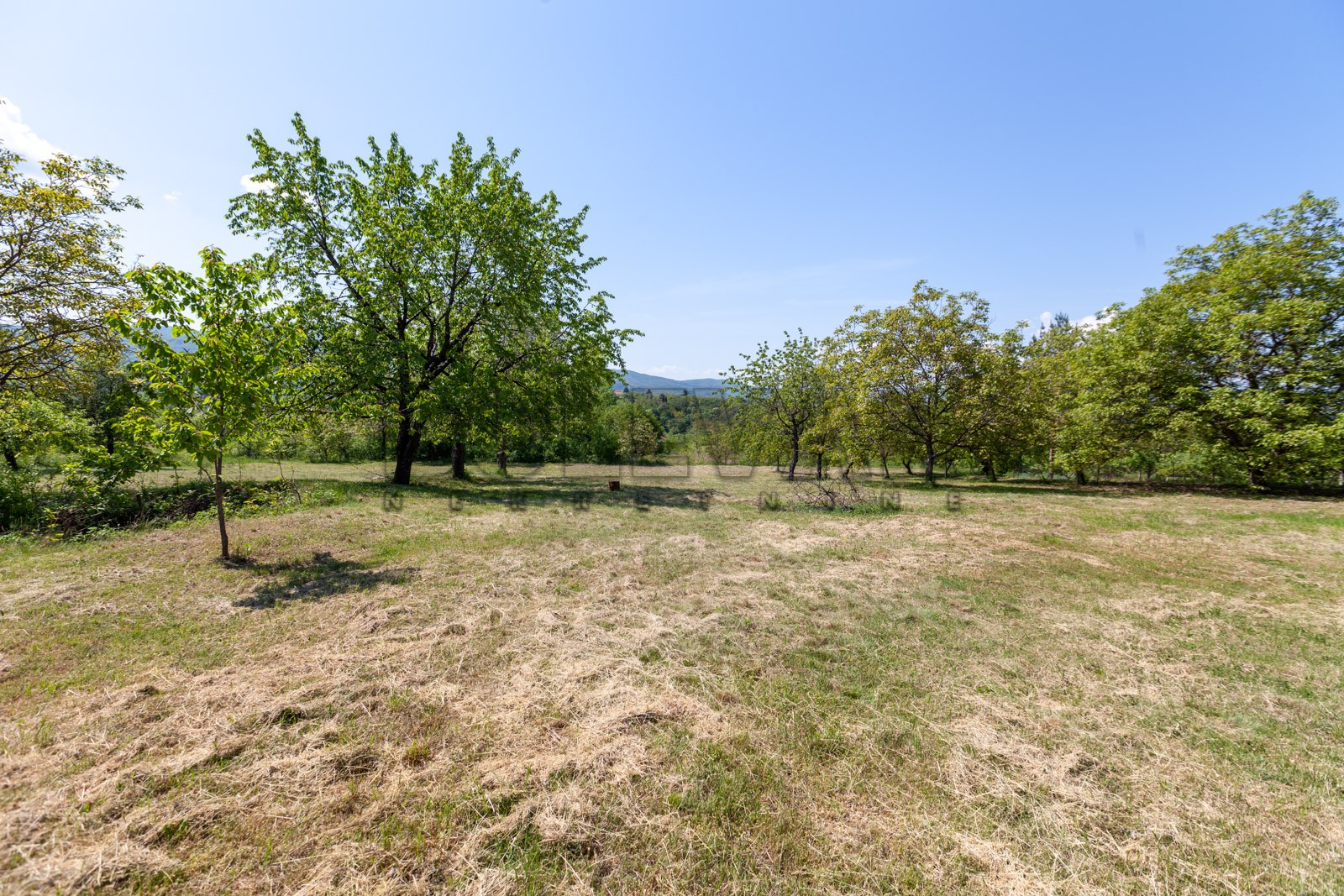 četvorosobna kuća, 250 m2, Palilula, Donje Vlase ID: p-05749 2