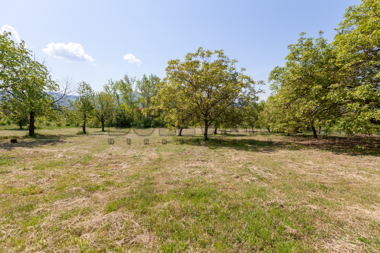 četvorosobna kuća, 250 m2, Palilula, Donje Vlase ID: p-05749 3