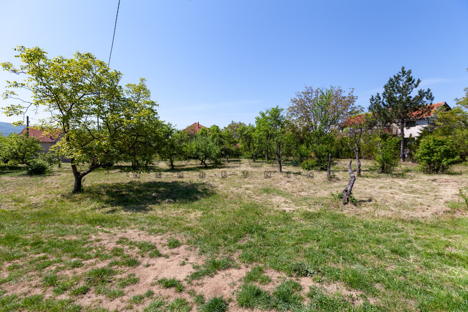 četvorosobna kuća, 250 m2, Palilula, Donje Vlase ID: p-05749 4