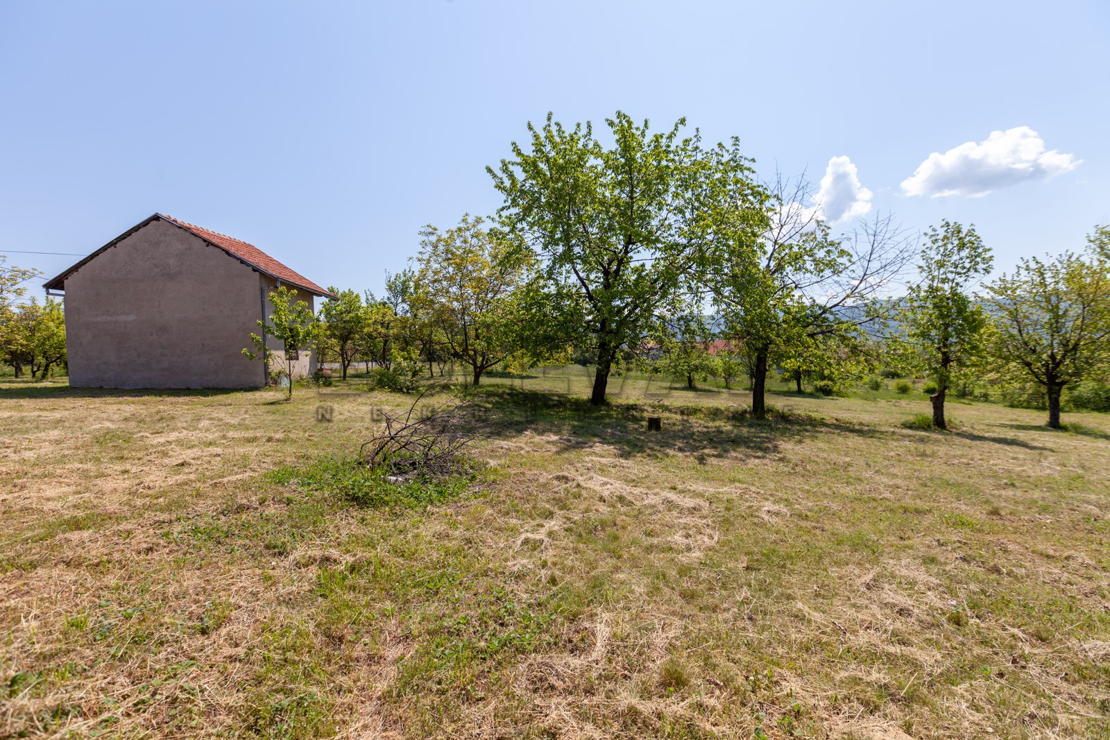 četvorosobna kuća, 250 m2, Palilula, Donje Vlase ID: p-05749 15