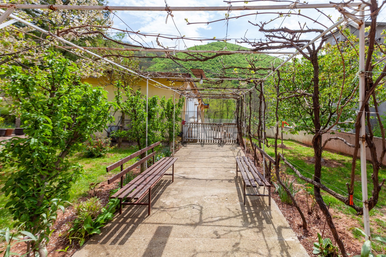 četvorosobna kuća, 250 m2, Sićevo, Sićevo ID: p-08432 3