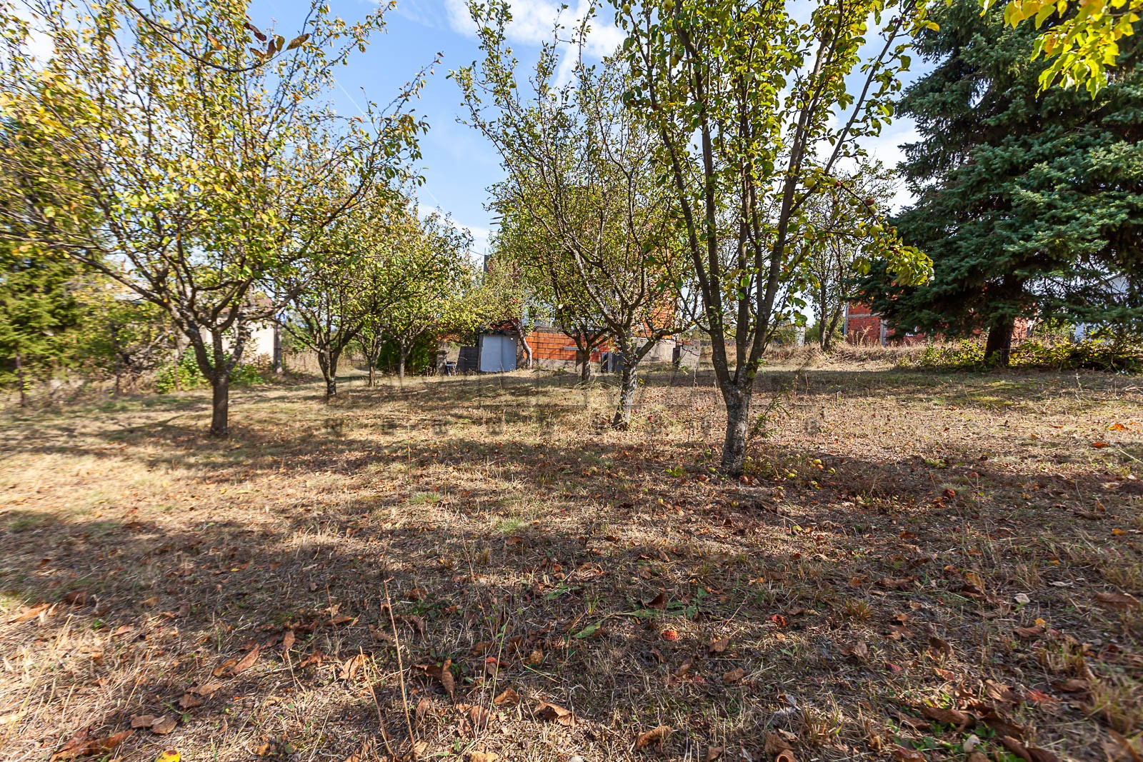 četvorosobna kuća, 270 m2, Palilula, Donjovlaška prilaz 3 ID: p-09847 10