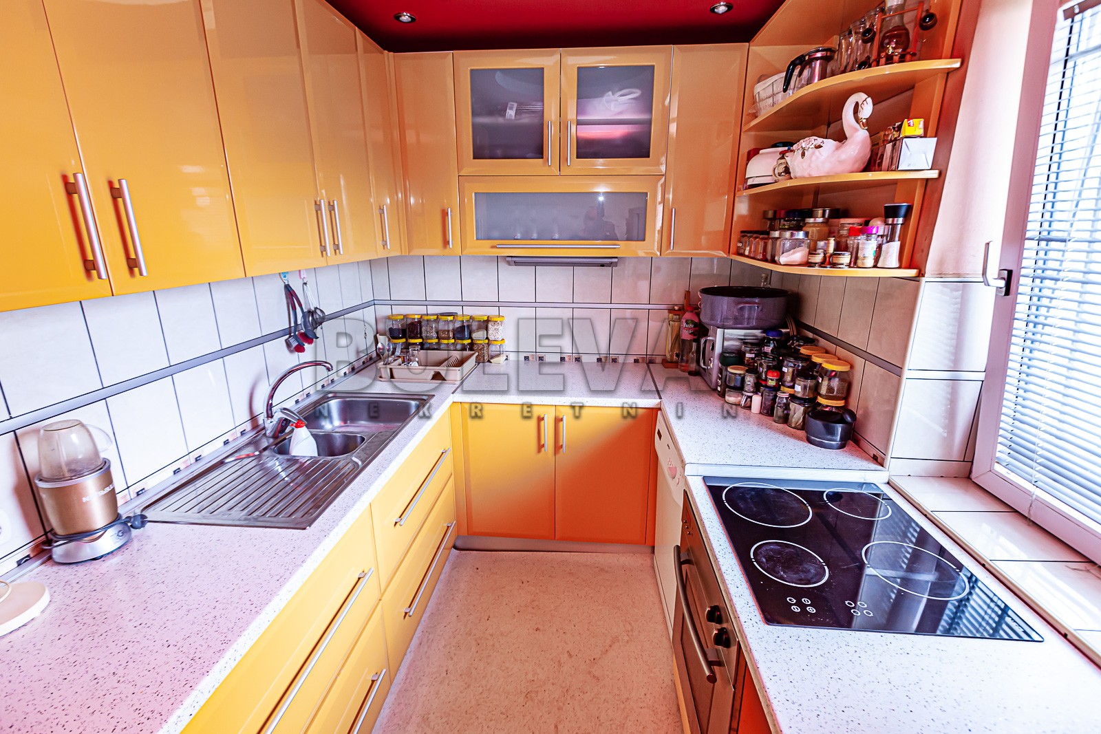 četvorosobna kuća, 292 m2, Trošarina, Pavla Jurišića Šturma ID: p-011147 3