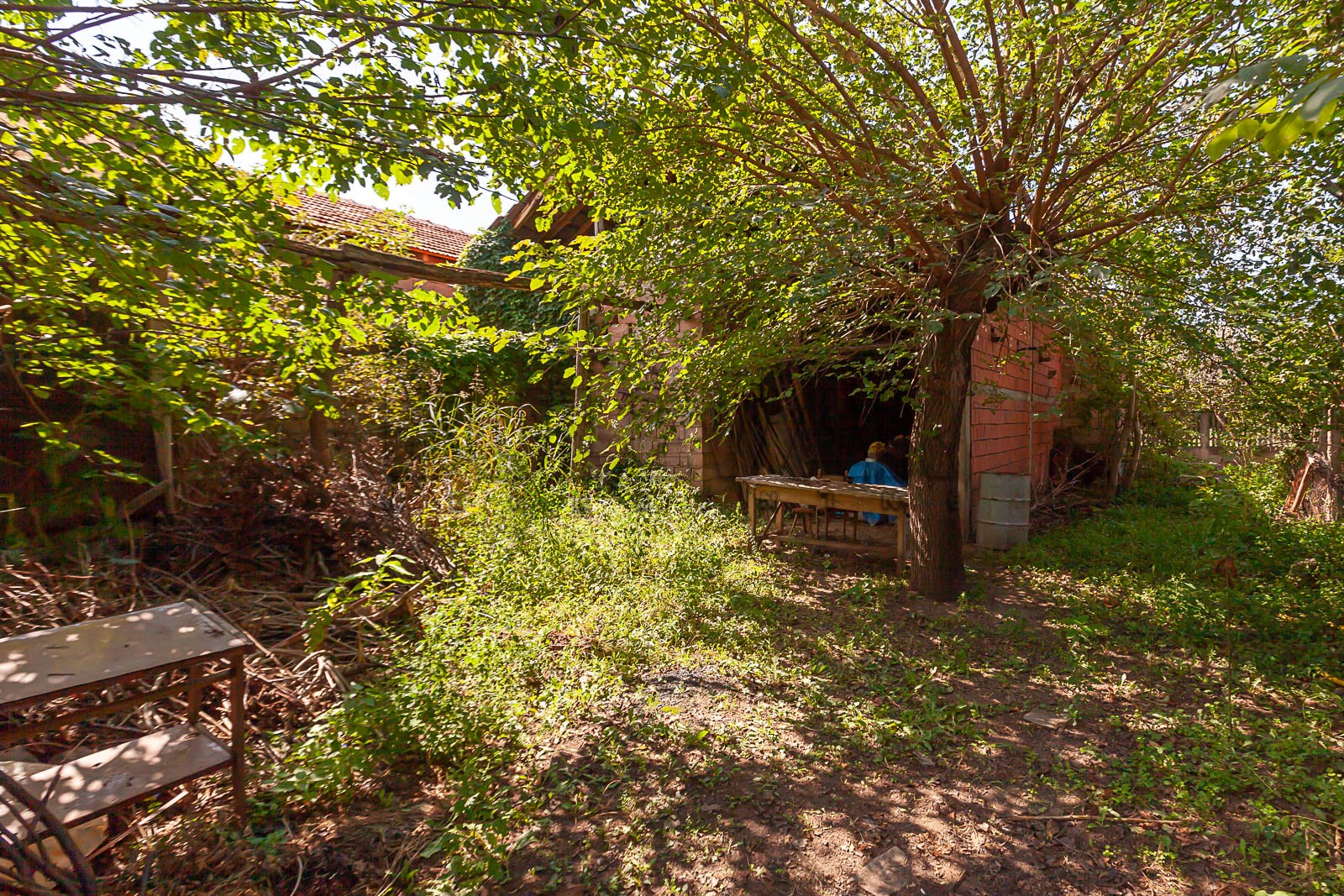 četvorosobna kuća, 300 m2, Popovac, Popovac ID: p-09598 4