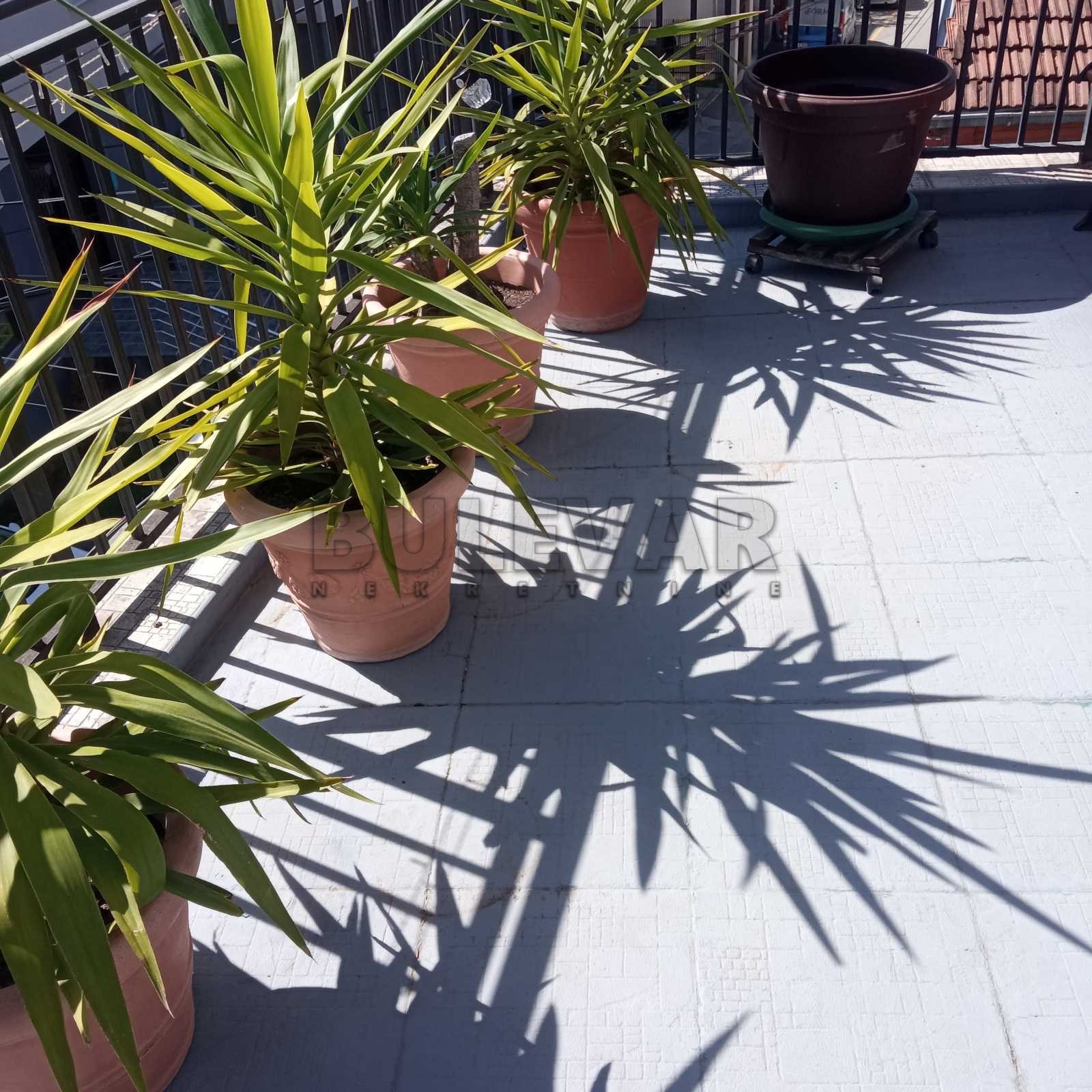 četvorosobna kuća, 302 m2, Centar, Dr Ilije Kolovića ID: p-011232 9