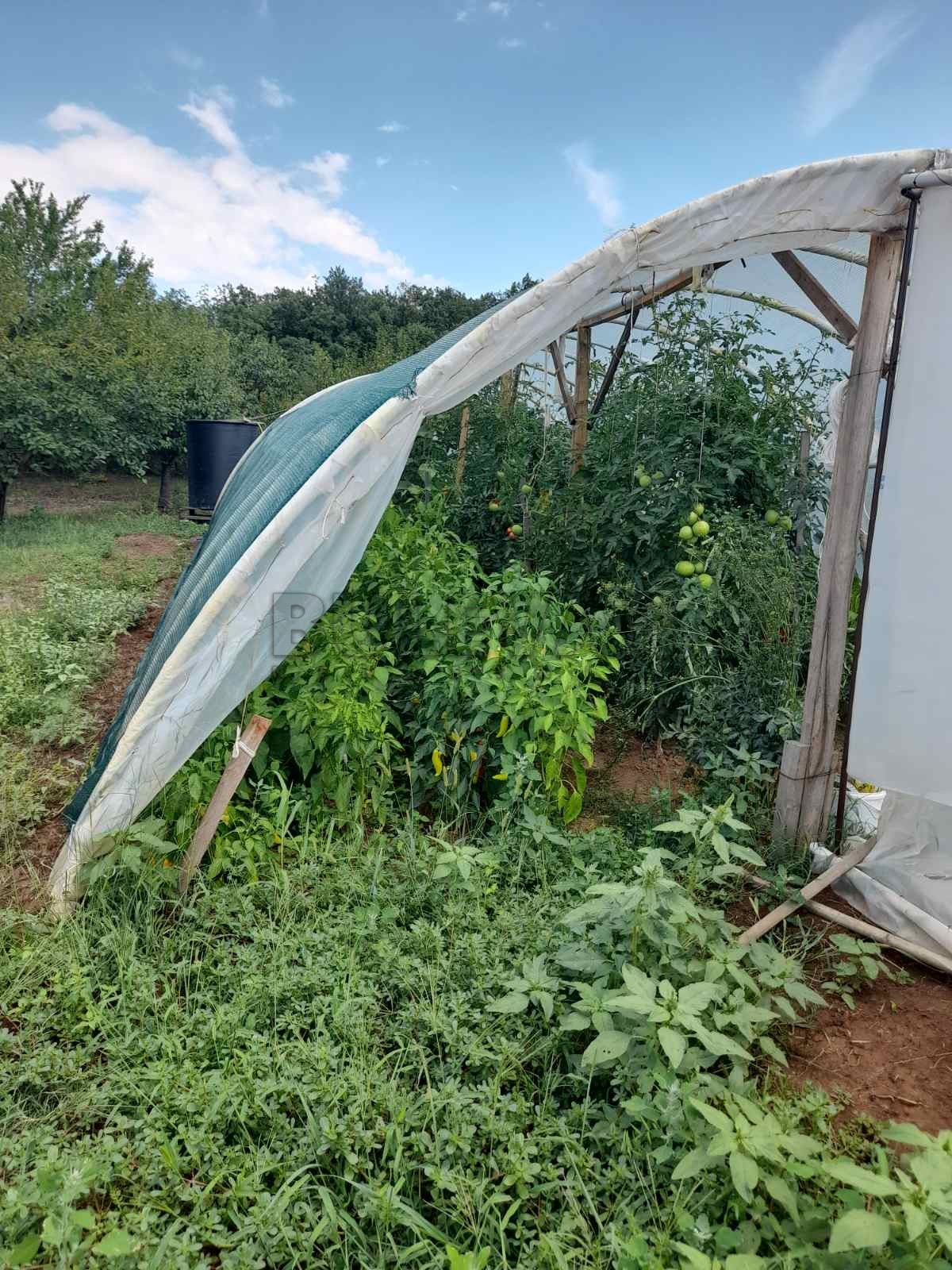 četvorosobna kuća, 350 m2, Knić, Knić ID: p-06454 17