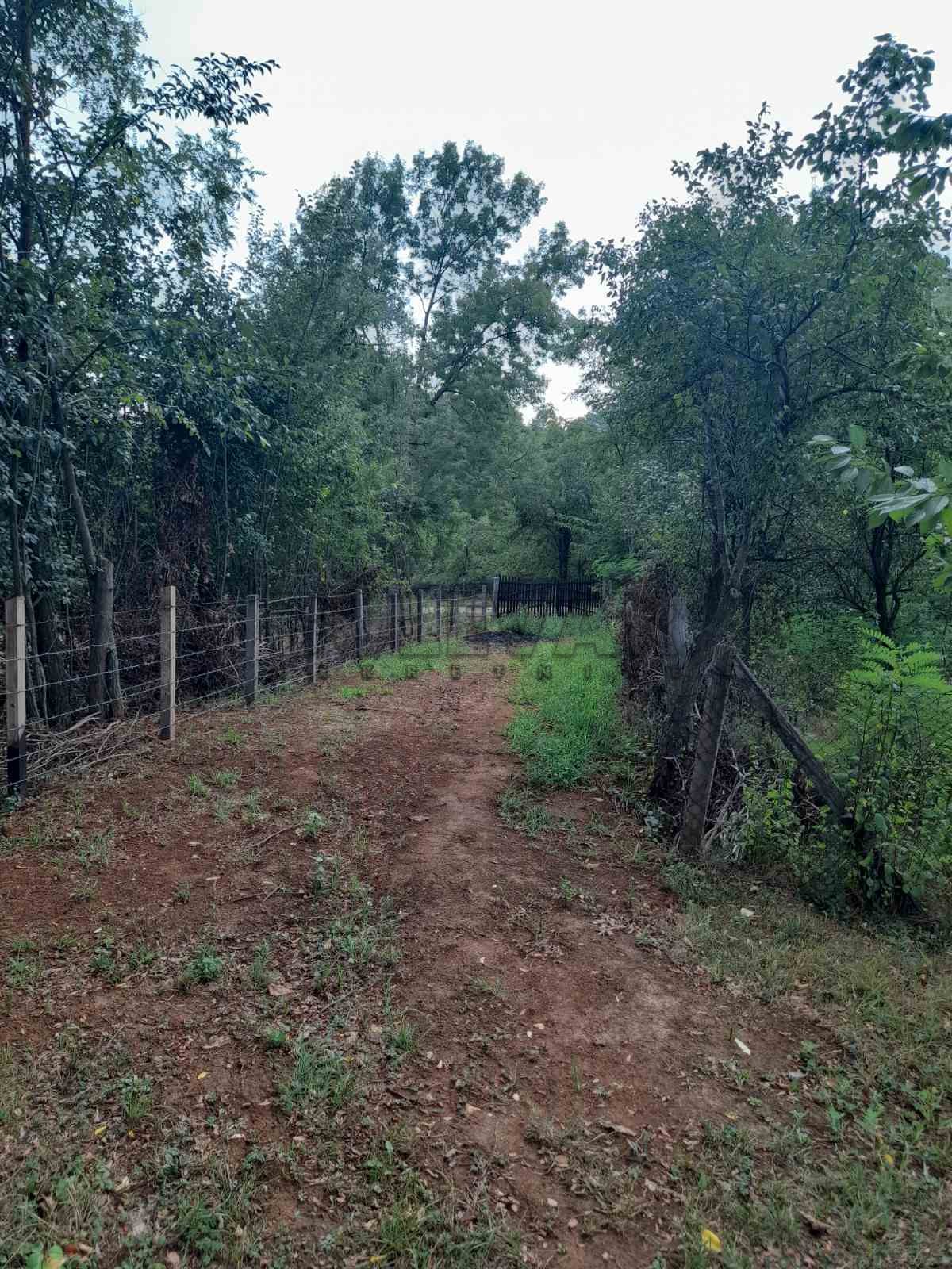 četvorosobna kuća, 350 m2, Knić, Knić ID: p-06454 18