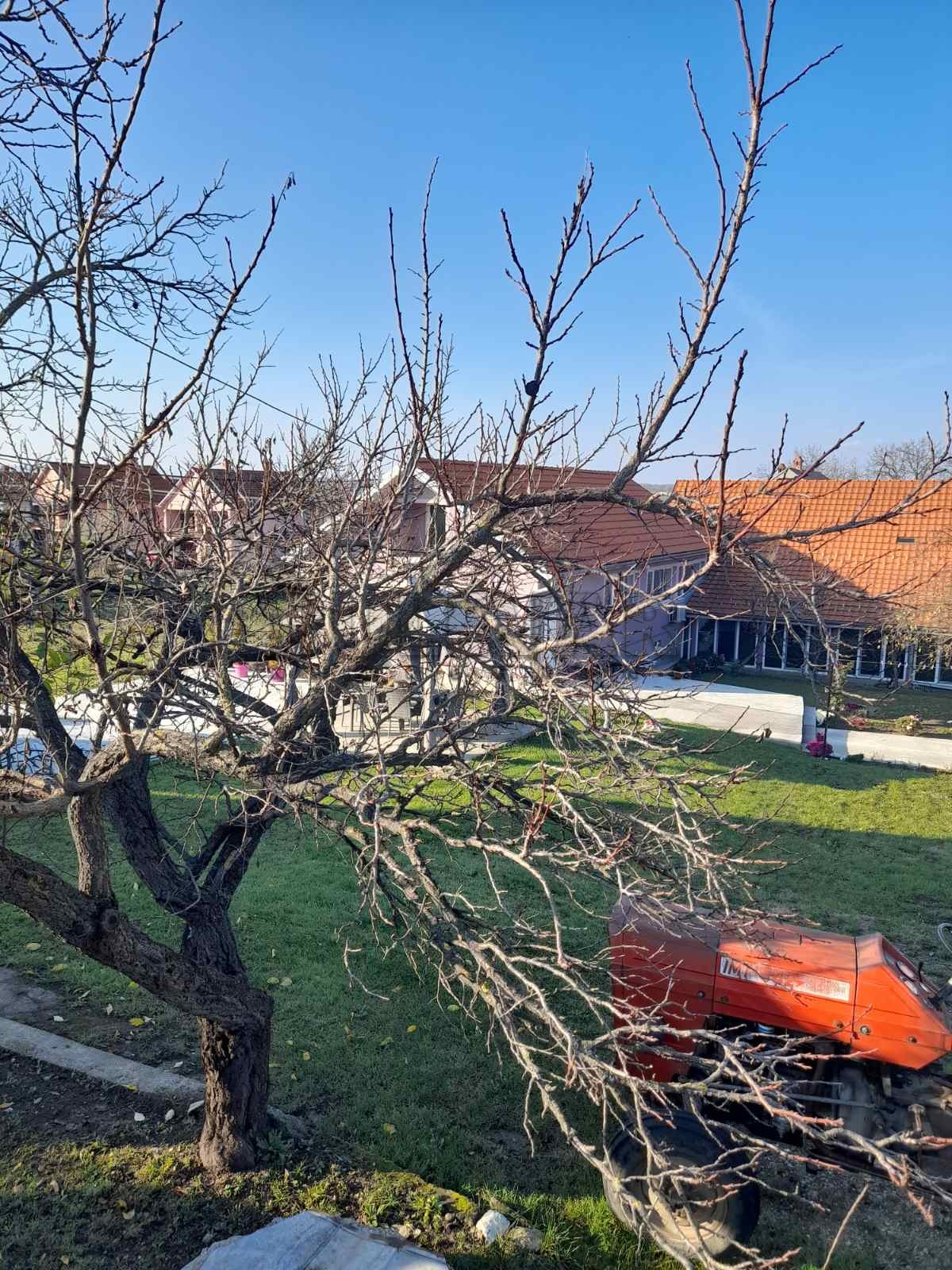 četvorosobna kuća, 350 m2, Maršić, 19. oktobra ID: p-04544 3