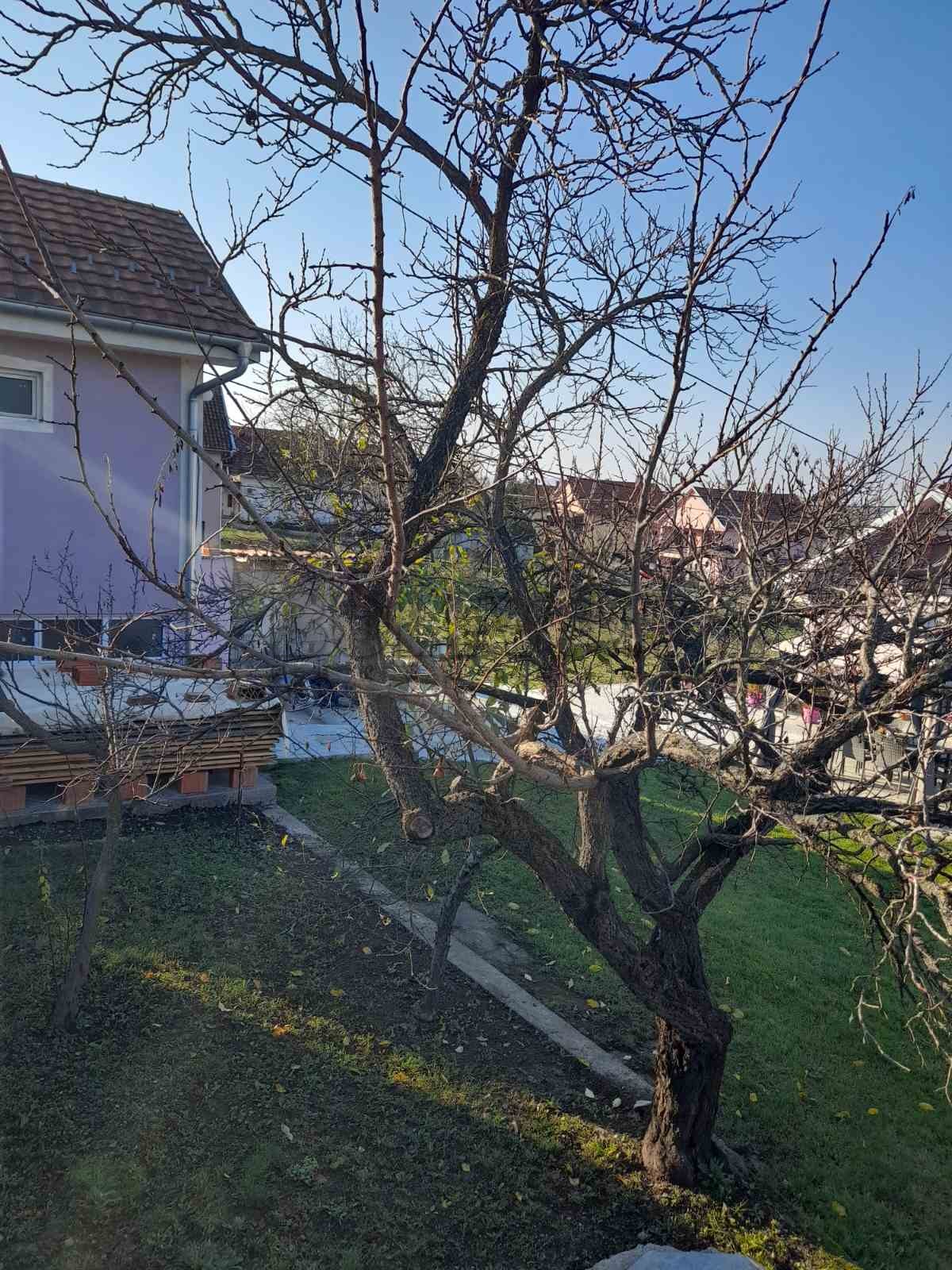 četvorosobna kuća, 350 m2, Maršić, 19. oktobra ID: p-04544 4