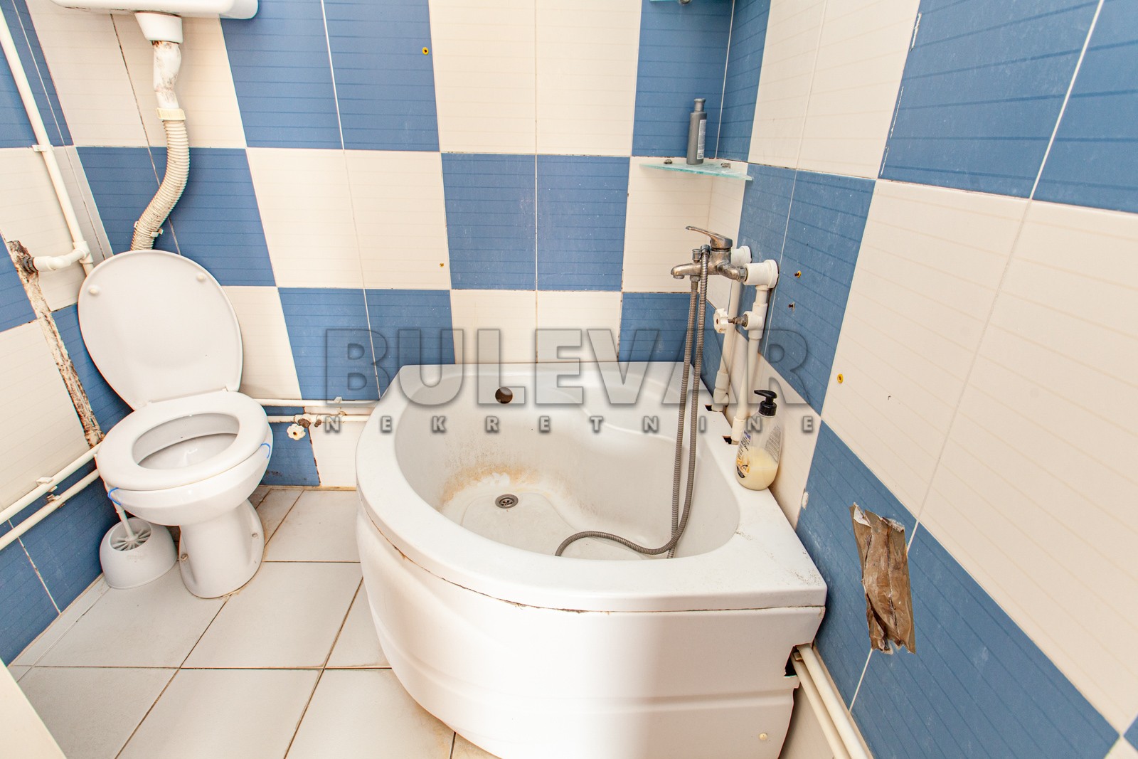 četvorosobna kuća, 375 m2, Medoševac, Medoševac ID: p-03172 17