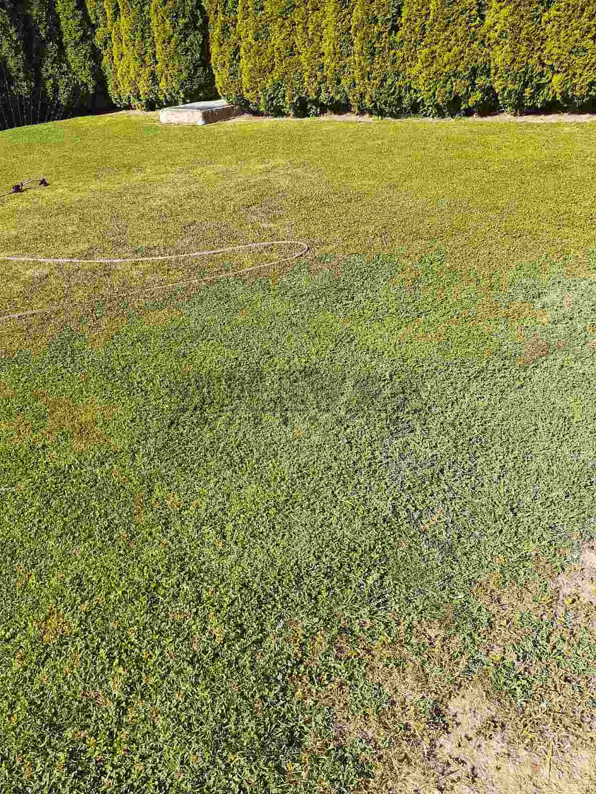 četvorosobna kuća, 400 m2, Kragujevac, Vladimira Rolovića ID: p-06271 2