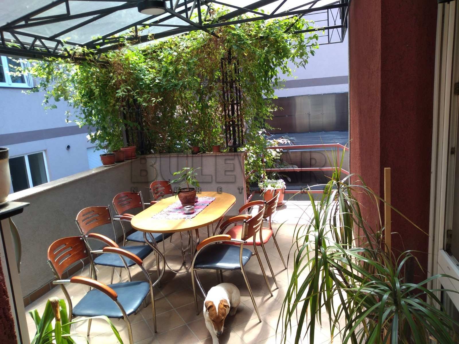 četvorosobna kuća, 450 m2, Centar, Jug Bogdanova ID: p-05303 4