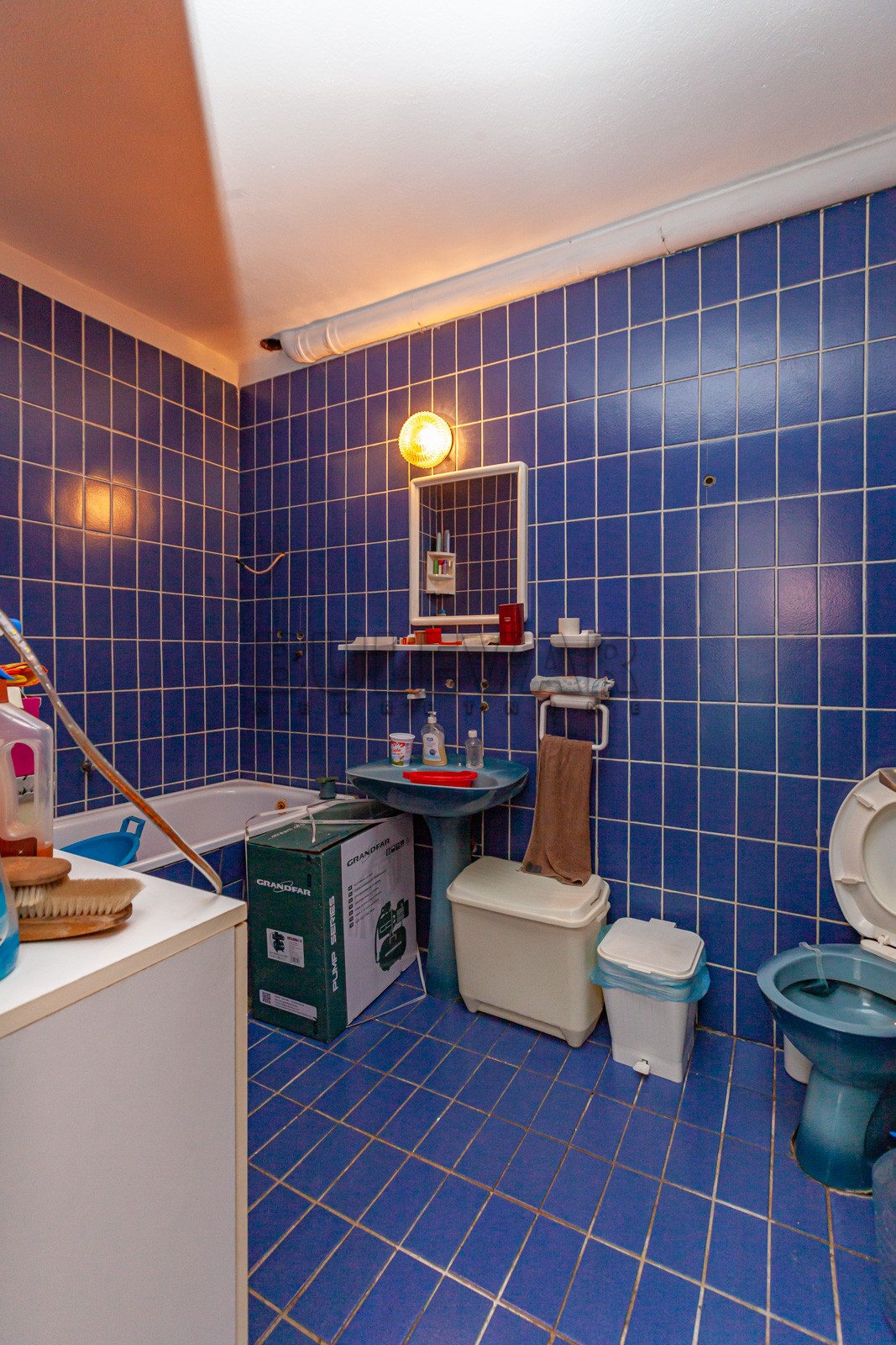 četvorosobna kuća, 450 m2, Palilula, Donjovlaška ID: p-07143 13