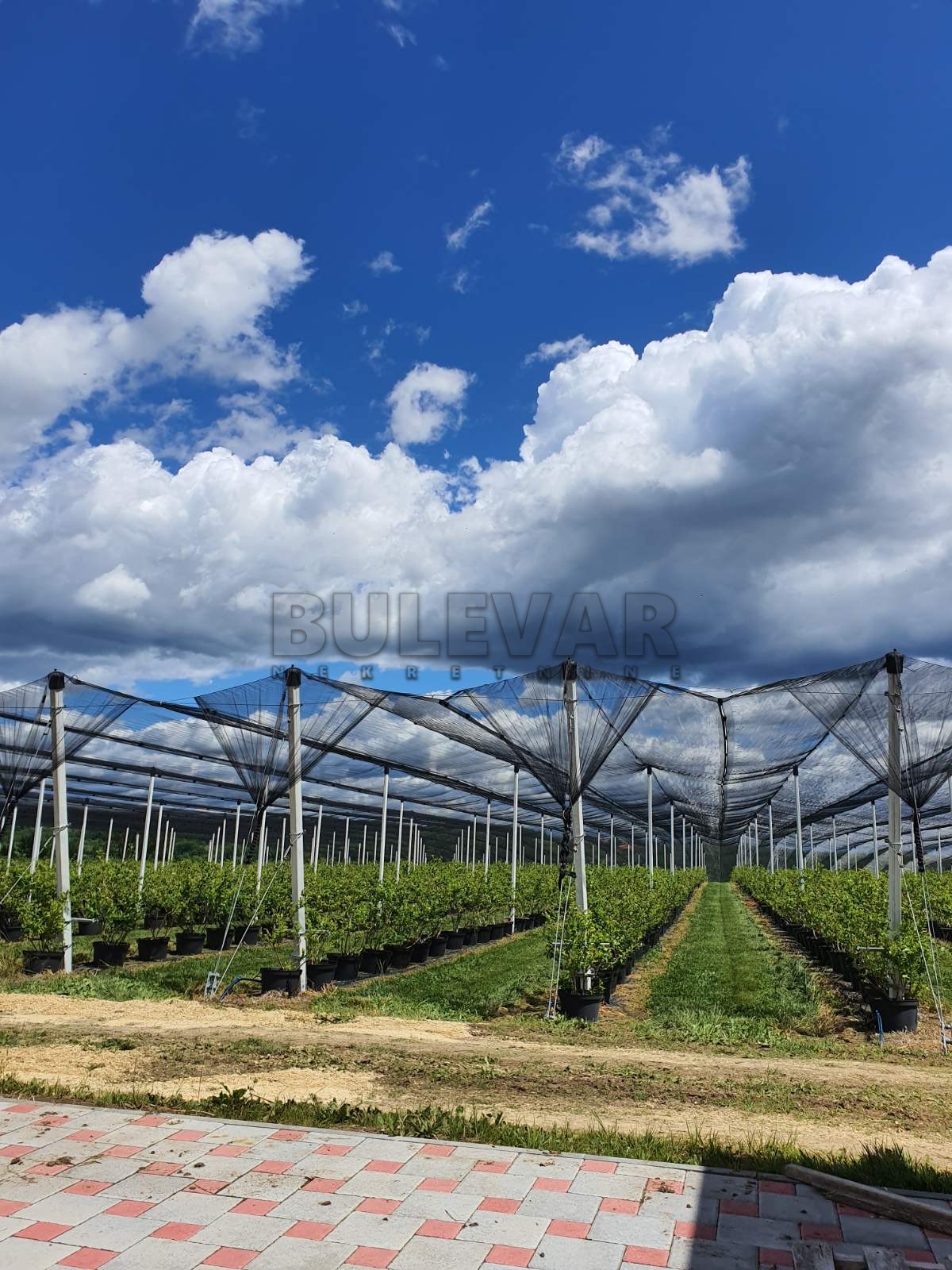 četvorosobna kuća, 45918 m2, Lužnice, Lužnice ID: p-07400 9