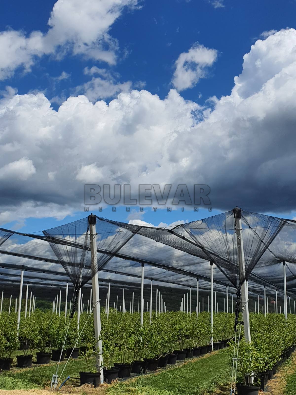 četvorosobna kuća, 45918 m2, Lužnice, Lužnice ID: p-07400 4